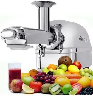 Cold Press Juicer