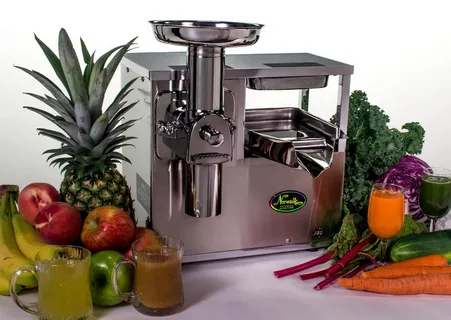 Angel Cold Press Juicer