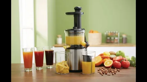 Cold Press Juice Extractor